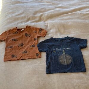 Boys Lion Print and Le Petit Prince T-Shirts size 2T
